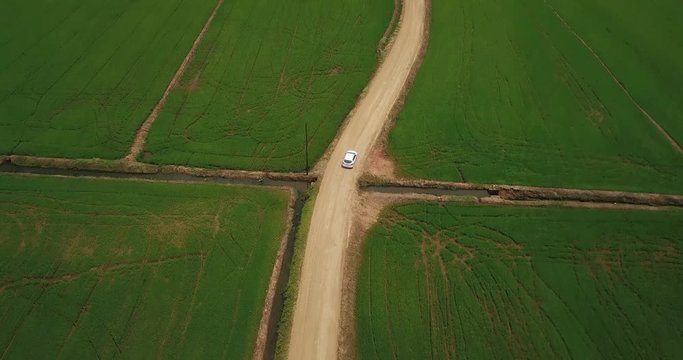 White car cruising on the rice field on a dirt road.