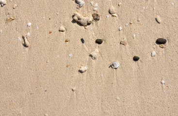 Fototapeta na wymiar Sand island beach background. Coral fragments, gravel,shells on fine sand beach.