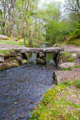 Old bridge in Dartmoor, Devon