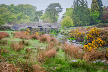 Obraz premium Old bridge in Dartmoor, Devon