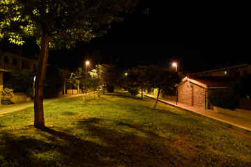 Night Illuminated Park in the City Near the Houses