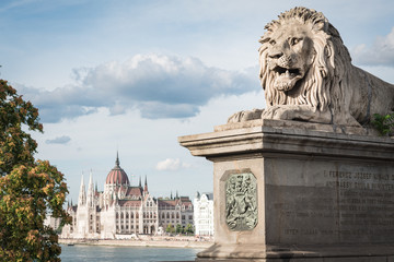 Budapest, a lion stone statue on the Chain Bridge, the Parliament in background, Hungary 2019. The...