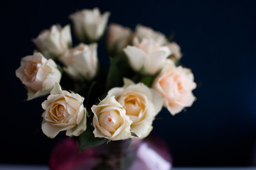 Weisse rosen