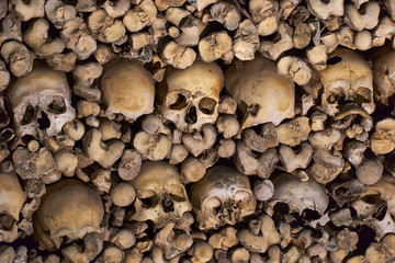 remains of human bones embedded in the wall