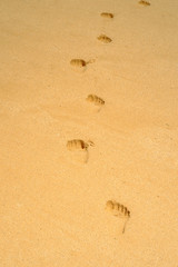 Fototapeta na wymiar footprints in a beach in canary islands