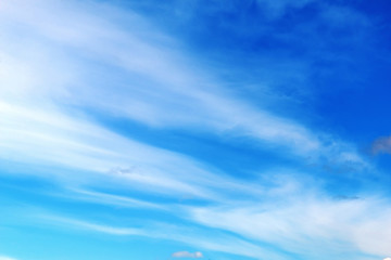 Fototapeta premium Divine blue sky with cirrus clouds. Abstract background