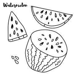 watermelon line icon. fruit coloring set