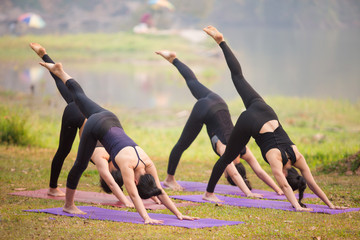 Asian Beautiful Women Group Doing yoga by the lake in the morning with warm sunshine