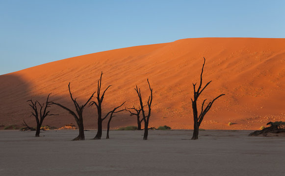 9006 Images – Browse 11 Stock Photos, Vectors, and Video | Adobe Stock