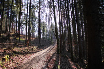 Sonniger Nachmittag im Frühling in Oberfranken