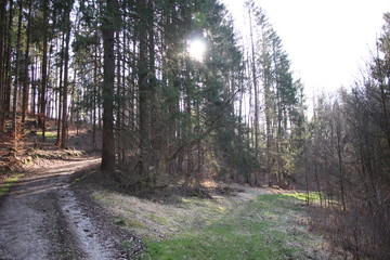 Sonniger Nachmittag im Frühling in Oberfranken