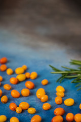 Immune support, alternative medicine organic sea buckthorn berries and rosemary branch