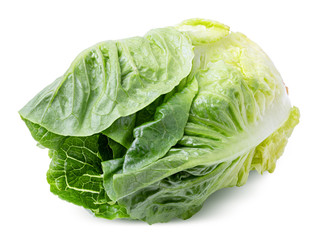 Green lettuce cabbage isolated on white background