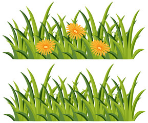 Bushes with and without flowers on white background