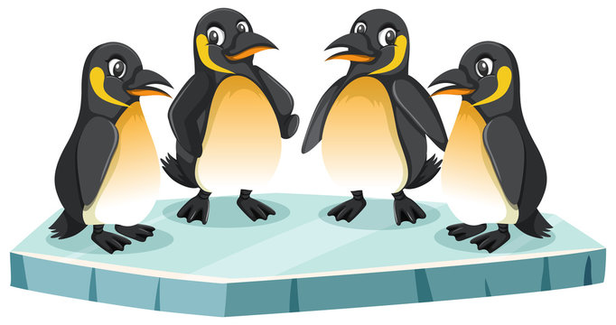 Four penguins on white background