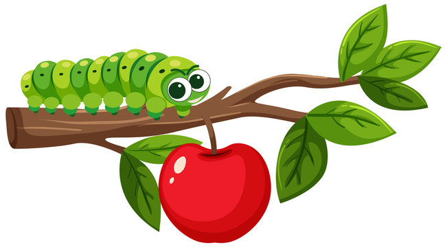 Green caterpillar on apple branch