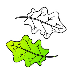 Naklejka premium eggplant leaves drawing isolated on white 