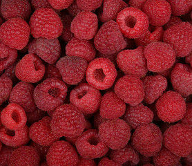 Background of fresh red ripe raspberry berries