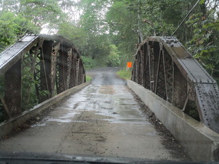 bridge in the forest