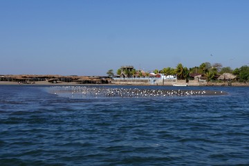 Isla Juan Venado, Nicaragua