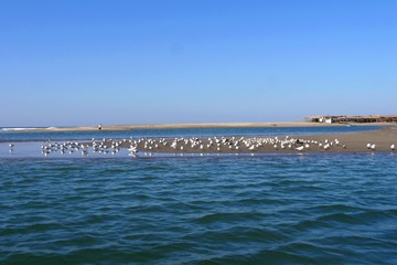 Isla Juan Venado, Nicaragua