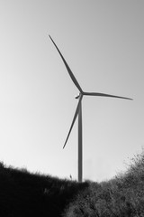 wind power station, loyal generators with blades