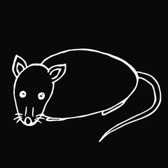  Vector illustration.Close-up mouse / rat on a black background.