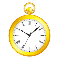 pocket watch with roman numerals