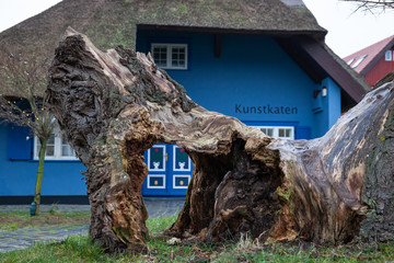 Kunstkaten Ahrenshoop