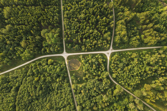 Crossing Roads From Above In Forest