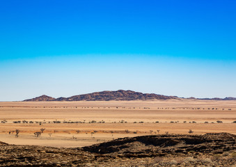 Fototapeta na wymiar Landscape at the namib desert in Namibia