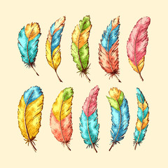 Beautiful Feather Pattern