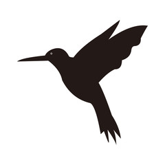 Hummingbird vector icon illustration symbol