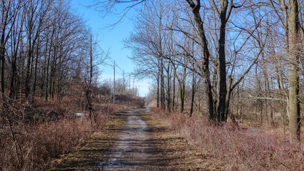 Hamilton is a beautiful Canadian city with forest and waterfalls