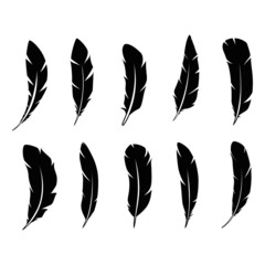 Beautiful Feather Patterns