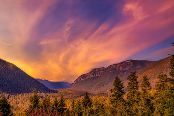 Fototapeta na wymiar Beautiful Mount Rainier National Park