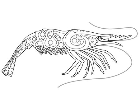 Shrimp coloring book antistress - vector linear picture for coloring. Sea animal - shrimp - antistress for marine coloring book. Outline. Hand drawing.