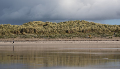 Single pearson walking by grassy sand dunes on Banna beach on the west coast of Ireland