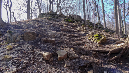 Hamilton is a beautiful Canadian city with forest and waterfalls