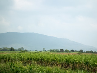 Meadows and fields In the sky there are clouds