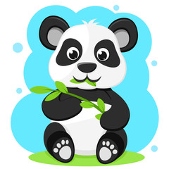 Panda bear sits and eats bamboo. The character