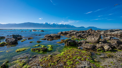 Punakaiki Pancake Rock In New Zealand