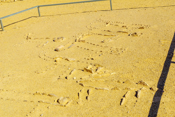 Leopard Temple of Uvda