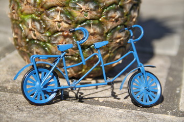 Tandem couple blue bike and exotic pineapple 