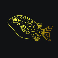 Vector gold fish on the black background. Outline fish. Exotic gold fish for clothes, fabrics, decor. Aquarium fish Tetraodon leopard.