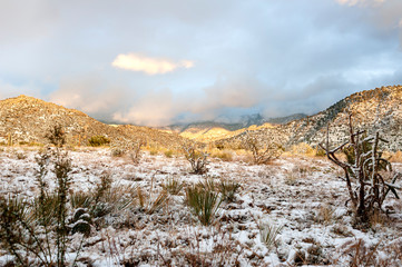 Early Year Snow Scene in the High Desert of New Mexico