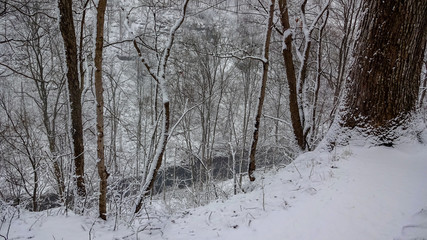 Hamilton is a beautiful Canadian city with forest and waterfalls