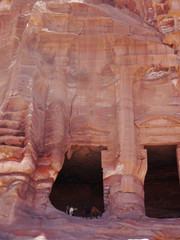 front view of the Royal Tombs of Petra with two playing goats, UNESCO world heritage, Wadi Musa, Jordan, Middle East