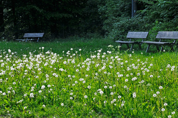 wandererrast auf dem donnersberg