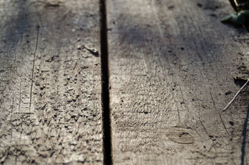 Wooden panels in the rays of the sunny sunset